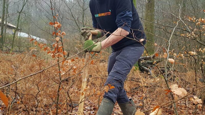 „Mehr Bäume jetzt“ : Termine für die Baum-Verschenktage im Kreis Kleve
