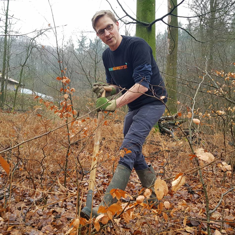 „Mehr Bäume jetzt“ : Termine für die Baum-Verschenktage im Kreis Kleve