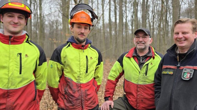 Holzernte in Dormagen: „Baum fällt!“ – Junge Forstarbeiter im Einsatz