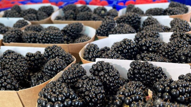 Straßenkarneval in Leverkusen: Trotz Weiberfastnacht – Opladener Markthändler hoffen auf zahlreiche Kunden