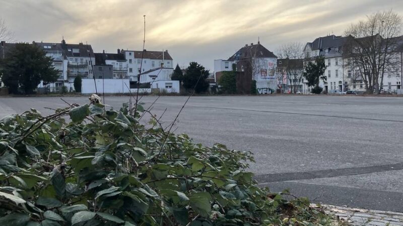 Schulsport in Mönchengladbach: An diesen Orten könnten neue Sporthallen gebaut werden