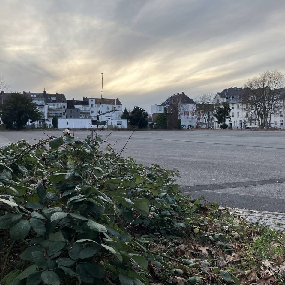 Schulsport in Mönchengladbach: An diesen Orten könnten neue Sporthallen gebaut werden