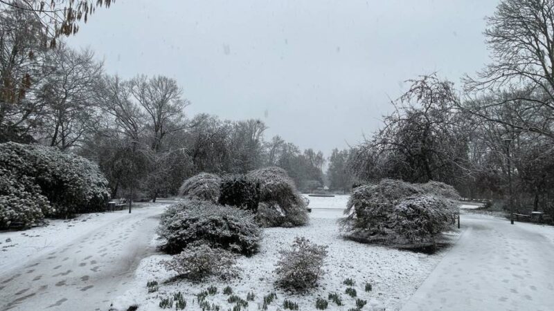 Ein letztes Aufbäumen des Winters: Schneefall überrascht Mönchengladbach nach Aschermittwoch