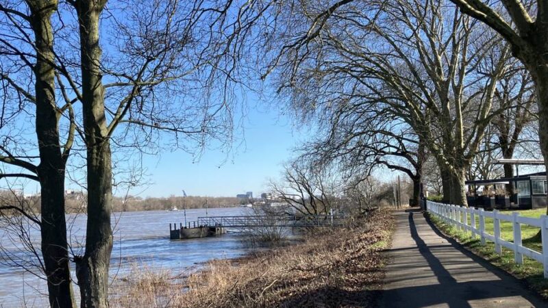 Naturschauspiel in Meerbusch: Hochwasser lockt an den Rhein