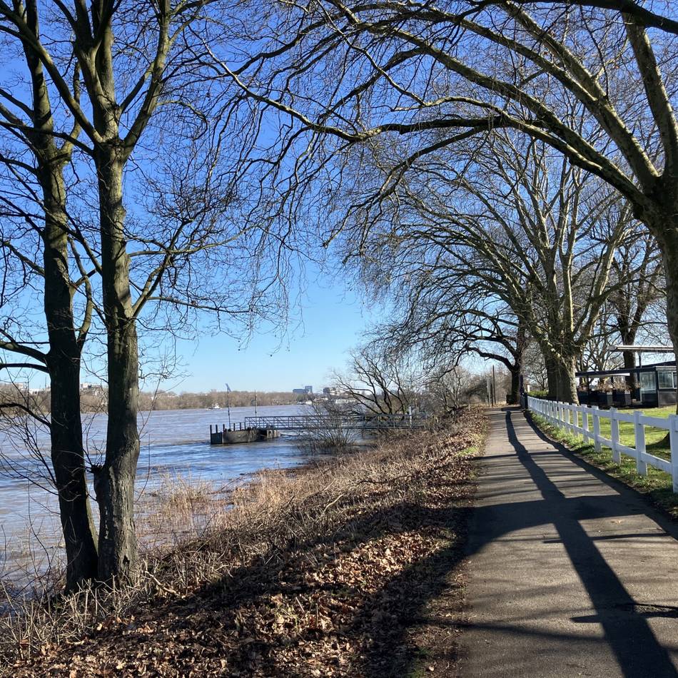 Naturschauspiel in Meerbusch: Hochwasser lockt an den Rhein