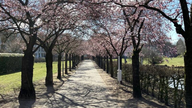 La-Madeleine-Allee in Kaarst: Dreister Überfall auf 85-jährige am helllichten Tag