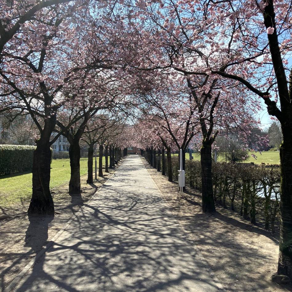 La-Madeleine-Allee in Kaarst: Dreister Überfall auf 85-jährige am helllichten Tag