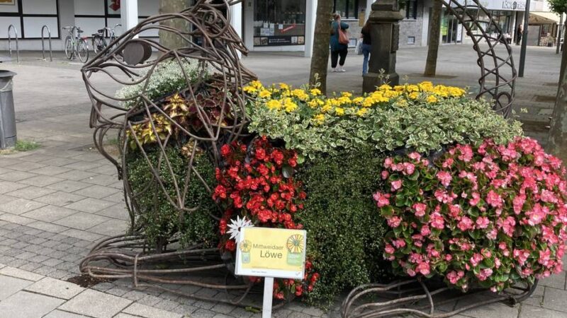 Ideen für die Viersener Stadtzentren: Citymanagement will die Innenstadt beleben