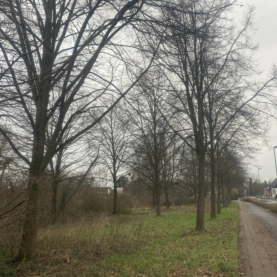 Vorläufige Entscheidung gefallen: Meerbusch gründet eine Wohnungsbaugenossenschaft