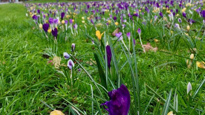 Endlich wärmer in Mönchengladbach: Frühling, ja du bist’s …