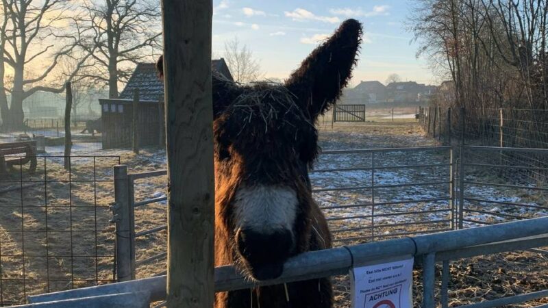 Kurse können gebucht werden: Das bietet das neue VHS-Programm in Kevelaer und Weeze