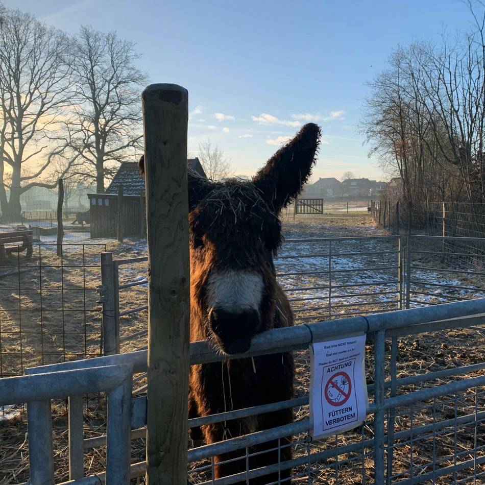 Kurse können gebucht werden: Das bietet das neue VHS-Programm in Kevelaer und Weeze