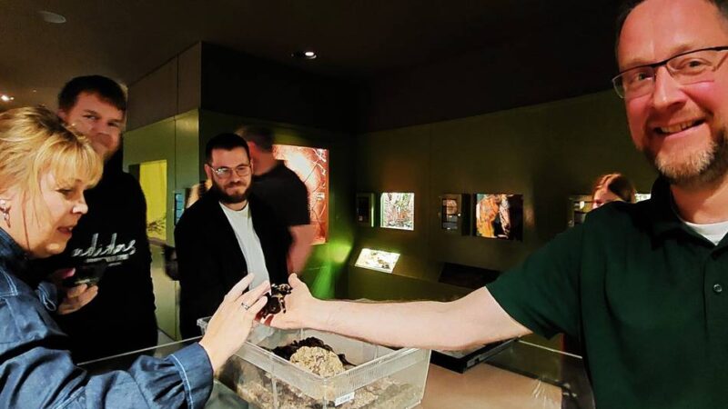 Tiere in Düsseldorf: Schwule Pinguine und zärtliche Krokodile