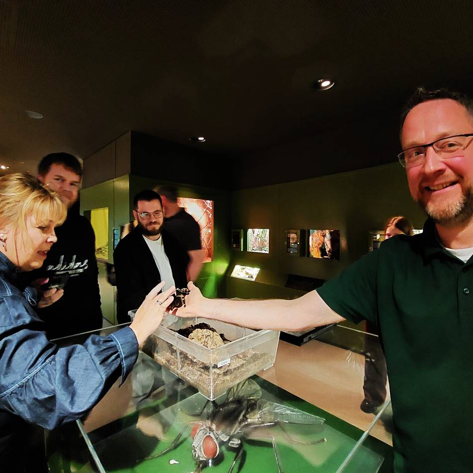 Tiere in Düsseldorf: Schwule Pinguine und zärtliche Krokodile