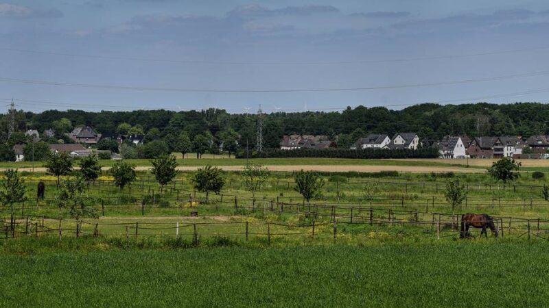 16 Hektar in Bedburg-Hau: Neuer Streit um Kiesabbau im Kreis Kleve