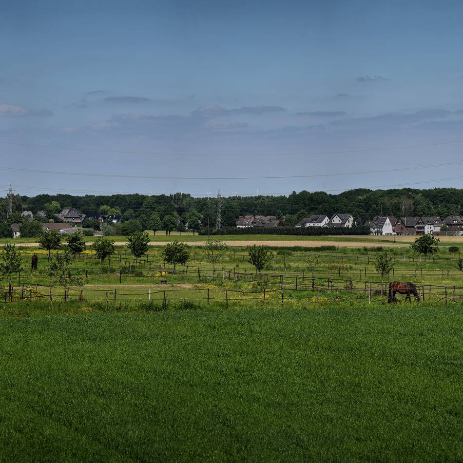 16 Hektar in Bedburg-Hau: Neuer Streit um Kiesabbau im Kreis Kleve