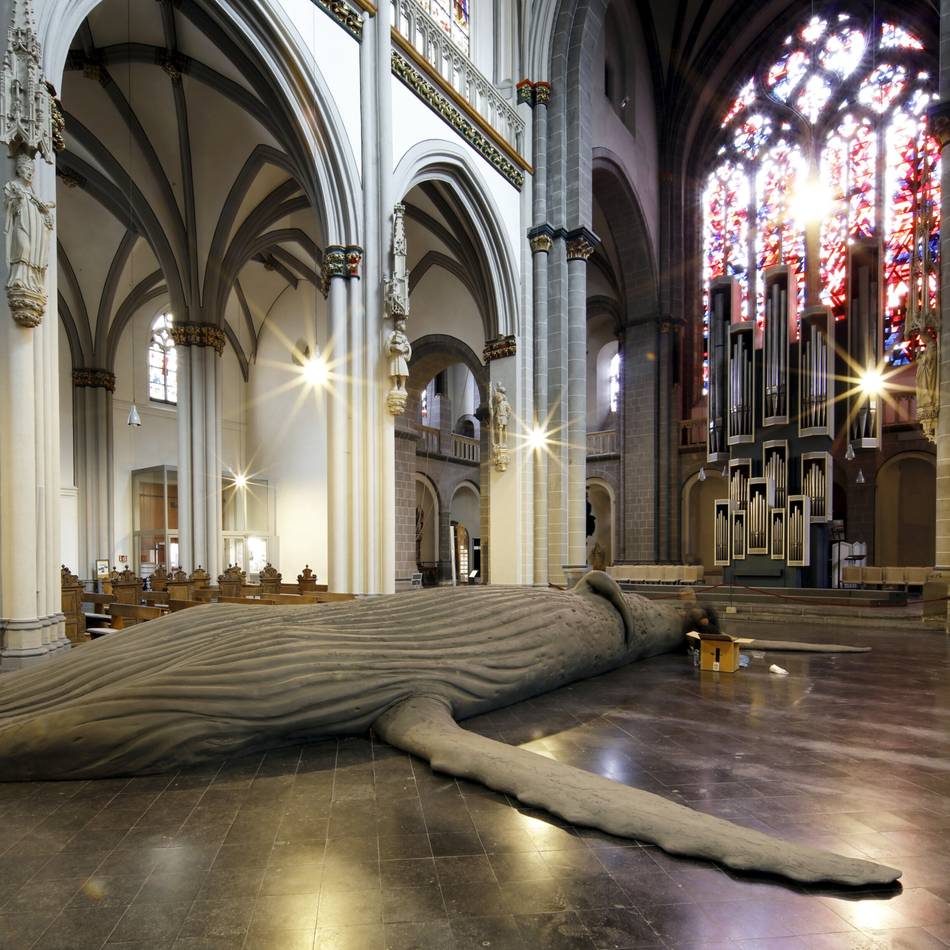 Podiumsdiskussion am 26. Februar: Kritiker diskutieren im Xantener Dom über Risiken des Salzabbaus