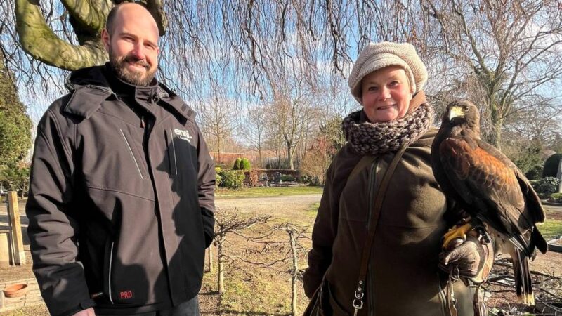 Auf Moerser Friedhöfen: Wüstenbussard unterstützt Enni beim Kampf gegen Kanninchenplage