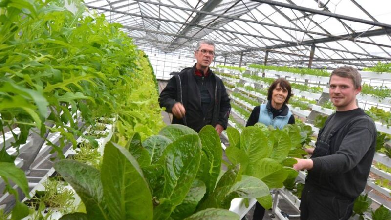 Gartenbaubetrieb in Neuss: Bei Schneiders wächst Salat jetzt im Regal