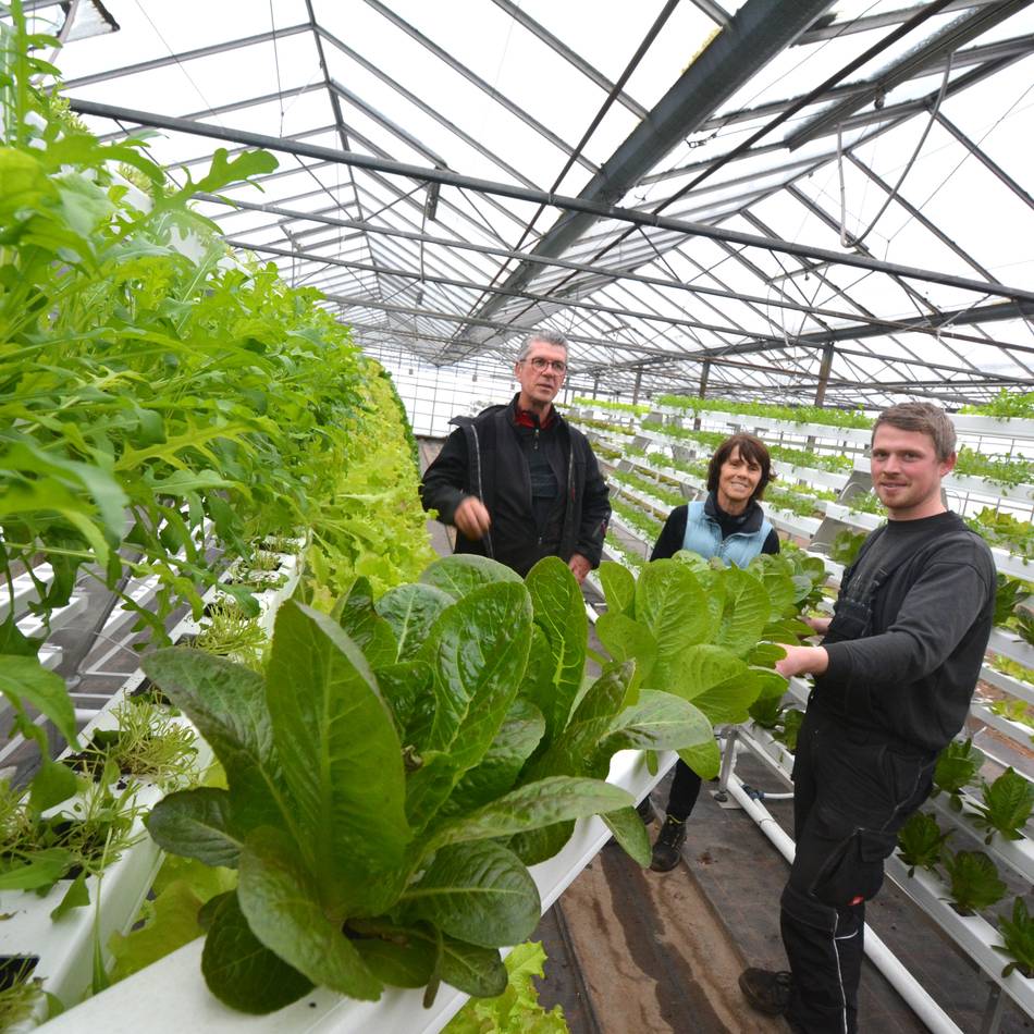 Gartenbaubetrieb in Neuss: Bei Schneiders wächst Salat jetzt im Regal