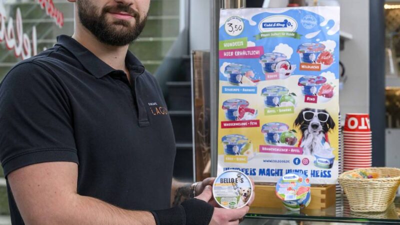 Mit Apfel-Leber-Geschmack: Zwei Bällchen für Bello – Kaarster Café verkauft jetzt Eiscreme für Hunde