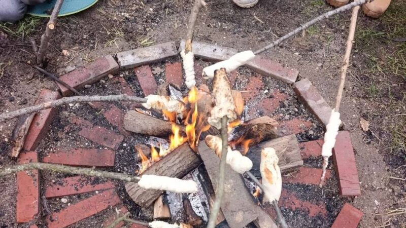 Waldich&Du in Wegberg: Stark werden im Wald