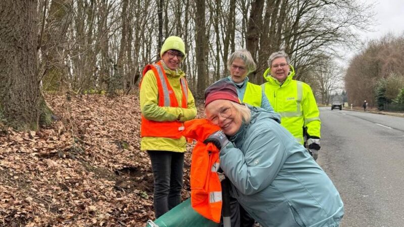 Nächtliche Straßensperrungen in Rheinberg: Naturschützer bereiten sich auf die Krötenwanderung vor