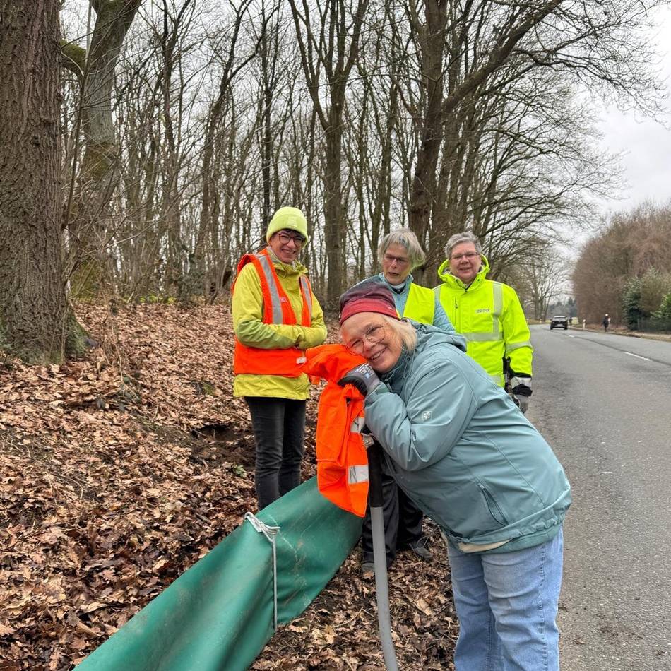 Nächtliche Straßensperrungen in Rheinberg: Naturschützer bereiten sich auf die Krötenwanderung vor