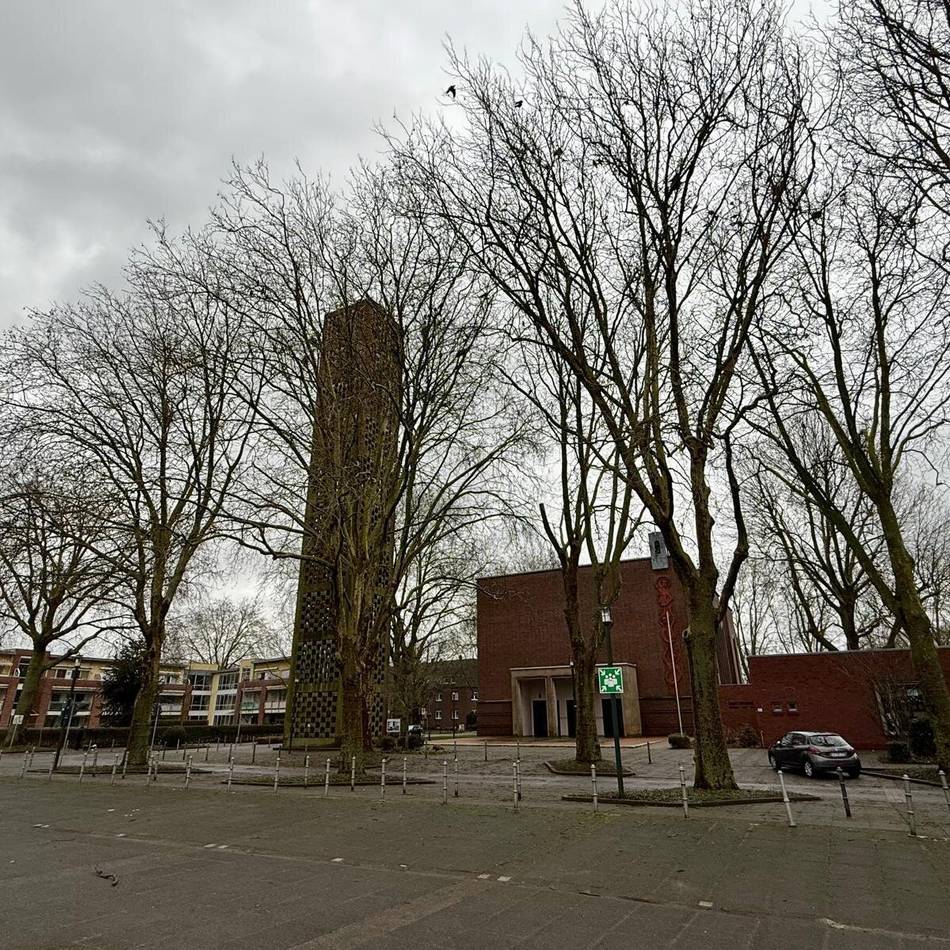 „Der Ansatz ist mir nicht plausibel“: Saatkrähen sorgen weiter für Ärger in Kellen