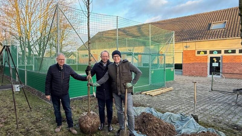 GOT in Grevenbroich: Schatten für den Soccercourt – Pflanzaktion am Jugendtreff