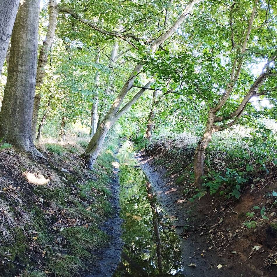 Gewässerunterhaltung in Langenfeld: Reusrather Bach wird auf 200 Metern renaturiert