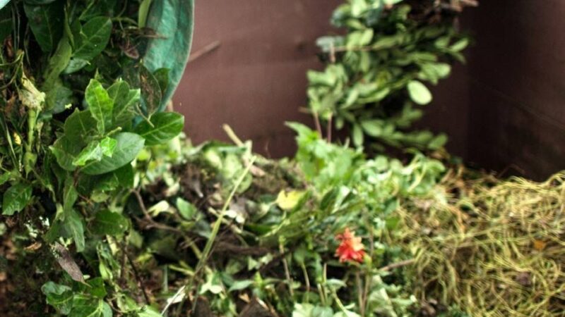 Mobile Sammelpunkte in Niederkrüchten: Zusätzliche Entsorgungsmöglichkeit für Grünschnitt