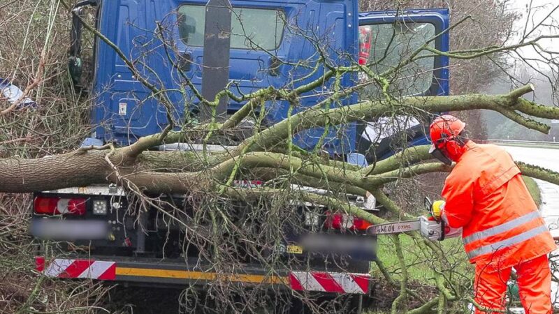 Unfall in Düsseldorf: Nach medizinischem Notfall – Lastwagen kracht gegen Baum