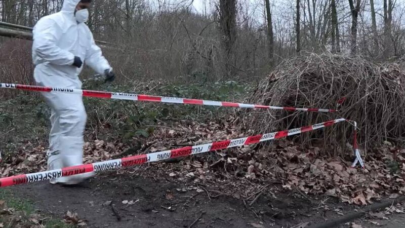 Mordkommission ermittelt: Frauenleiche in Duisburger Waldstück gefunden – ist es die Vermisste aus Moers?