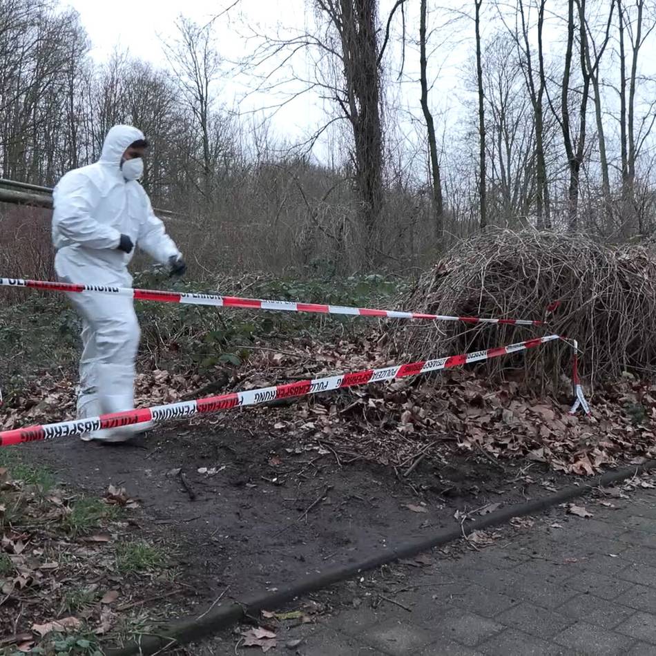 Mordkommission ermittelt: Frauenleiche in Duisburger Waldstück gefunden – ist es die Vermisste aus Moers?