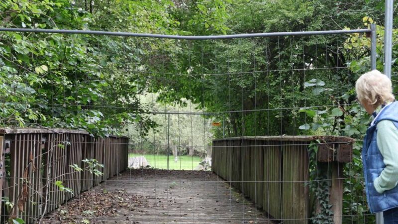 Baukosten von 205.000 Euro: Neue Apfelwiesen-Brücke in Grevenbroich wird aus Beton gebaut