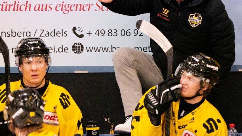 Verstärkung für die Play-offs: Der Countdown läuft – werden die Pinguine noch mal auf dem Transfermarkt aktiv?