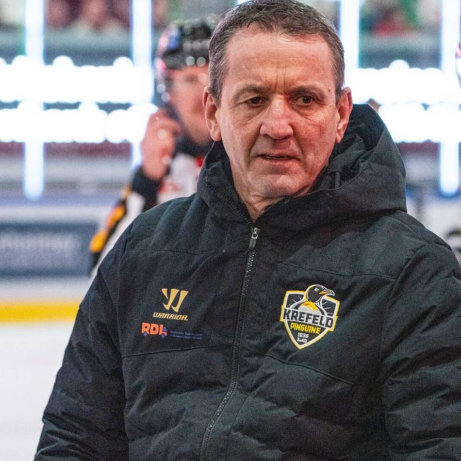 Nach Spieldauerdisziplinarstrafe: Liga sperrt Pinguine-Coach Popiesch für drei Spiele