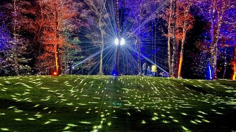 Besondere Aktion in Ratingen: Der Poensgenpark leuchtet zum Jubiläum