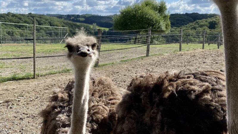 Was ist los im Bergischen Land ?: Zwischen Karneval und Valentinstag