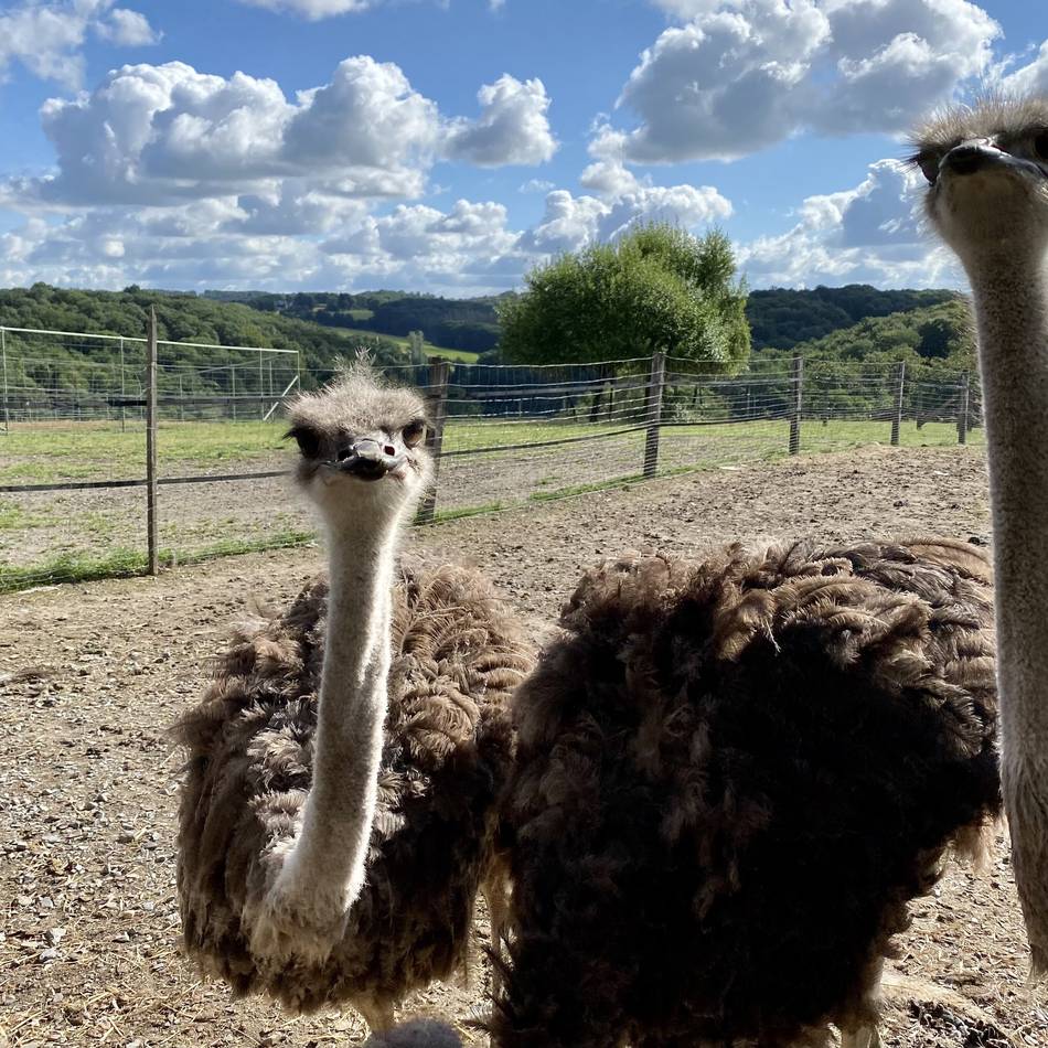 Was ist los im Bergischen Land ?: Zwischen Karneval und Valentinstag