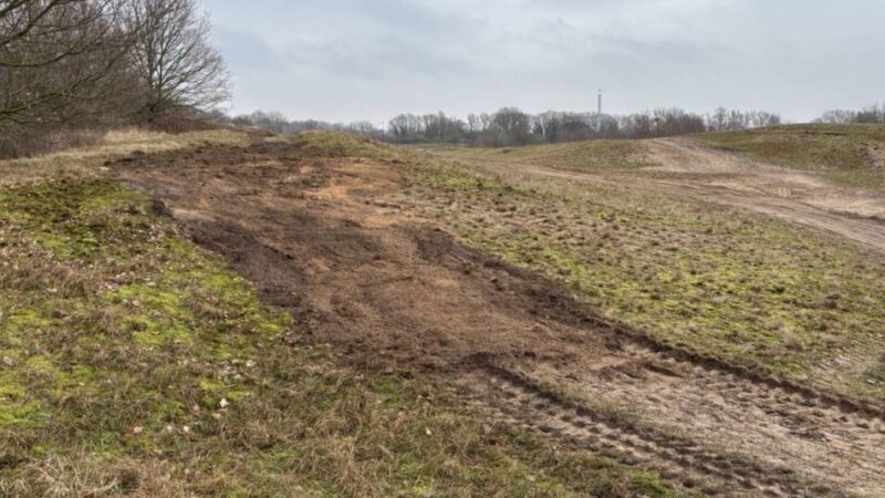 Beschädigter Boden in Kalkar: Neuer Aussichtsturm in den Wisseler Dünen bewegt die Gemüter