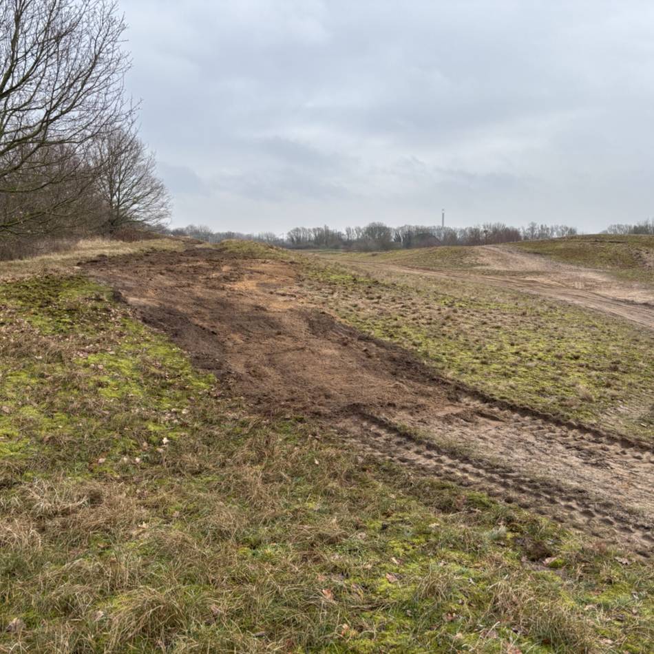 Beschädigter Boden in Kalkar: Neuer Aussichtsturm in den Wisseler Dünen bewegt die Gemüter