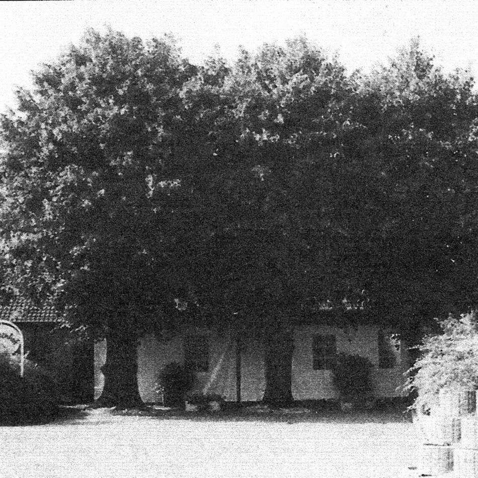 Serie Alte Höfe: Vom Bauernhof zur Diskothek – der Kneppenhof im Wandel der Zeit