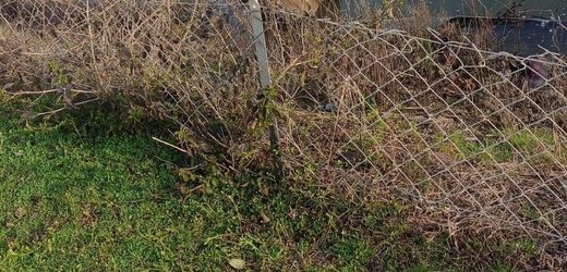 Iran-Krieg: Nato fängt iranische Rakete vor Türkei ab