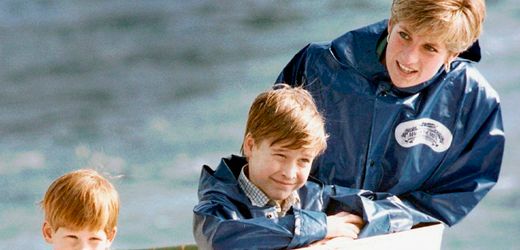 Diana zog angeblich Harry statt William als König in Erwägung