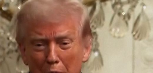 Donald Trump stichelt gegen Großbritannien und weiß nicht, dass Irlands Präsidentin eine Frau ist