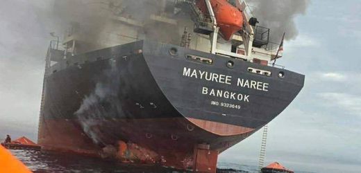 Iran-Krieg und Schifffahrt: Der Preis der Hormus-Blockade