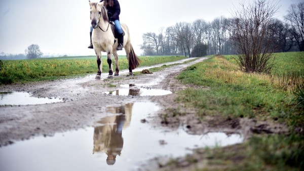 Ausreitplakette für Pferdehalter soll auch in Velbert abgeschafft werden