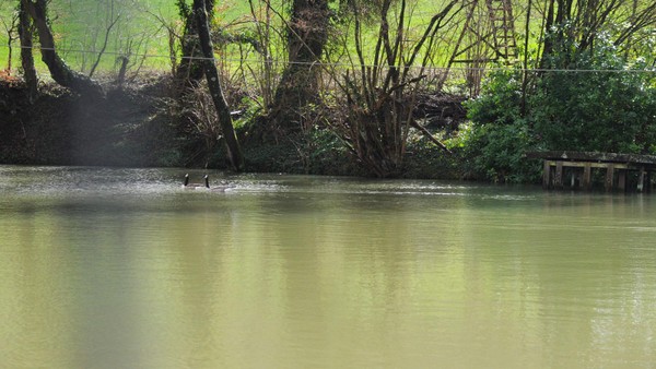 Legenden und Sagen: Wo der Teufel in Velbert seine Spuren hinterließ